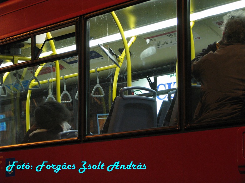 london_buses_249.JPG