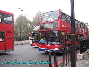 london_buses_012.JPG
