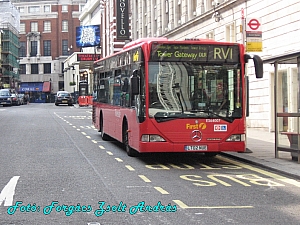london_buses_048.JPG
