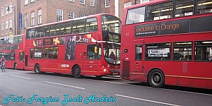 london_buses_150.JPG