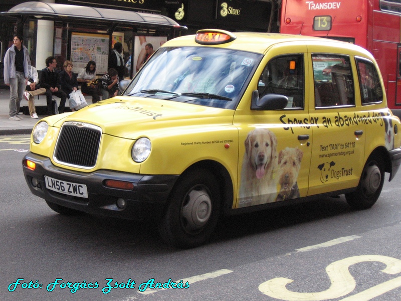 london_taxi_132.JPG