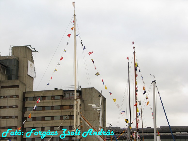 thames_festival_2009_038.jpg