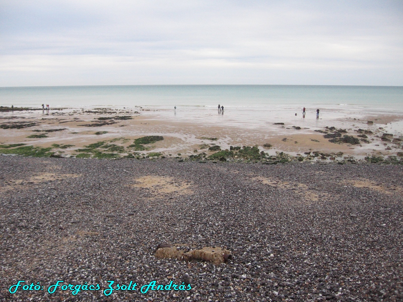 beachy_head_037.JPG