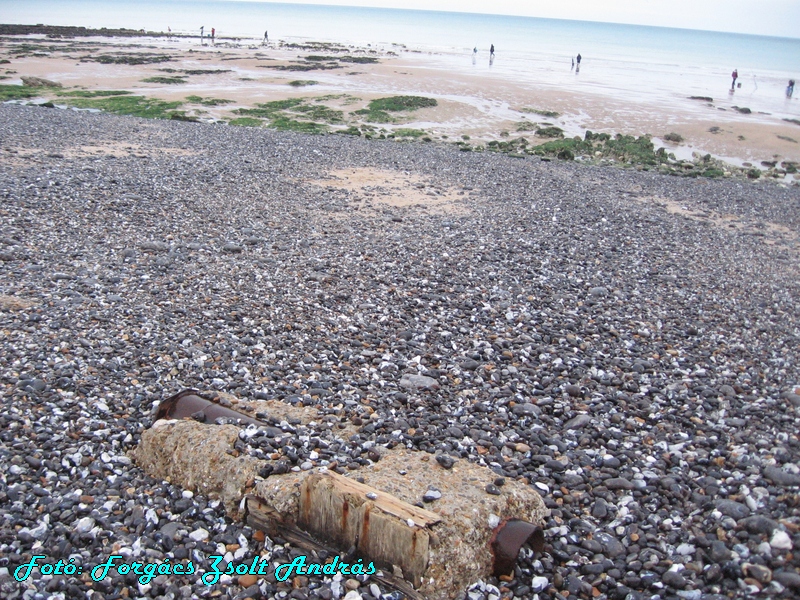 beachy_head_040.JPG