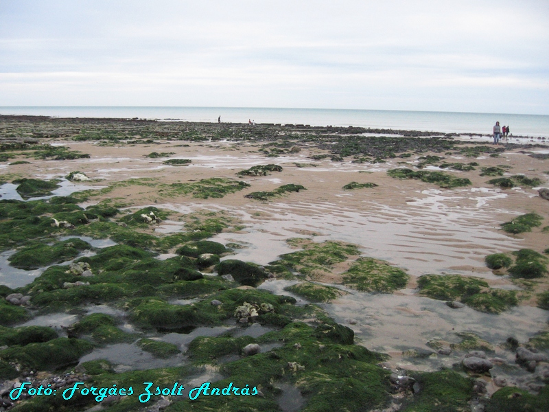 beachy_head_051.JPG