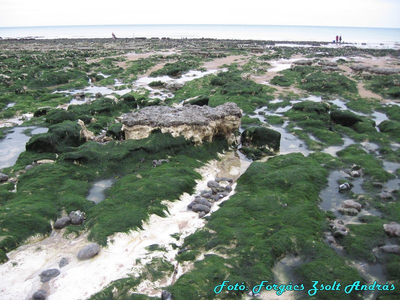 beachy_head_053.JPG