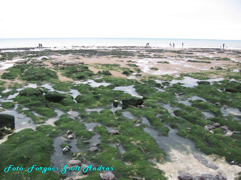 beachy_head_054.JPG