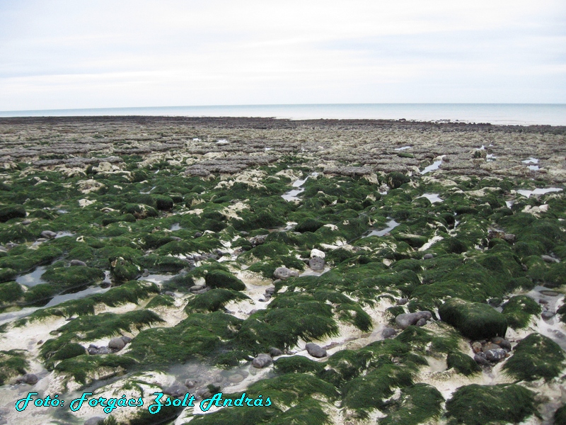 beachy_head_061.JPG