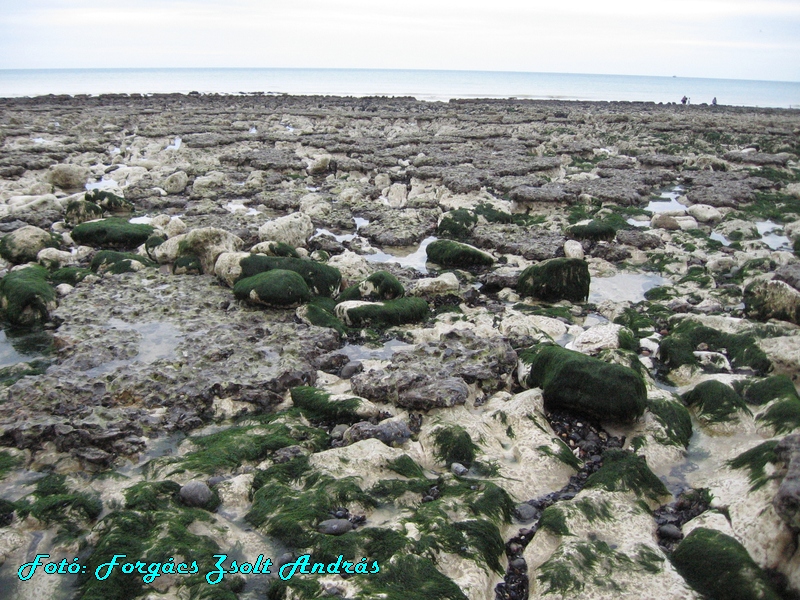 beachy_head_066.JPG