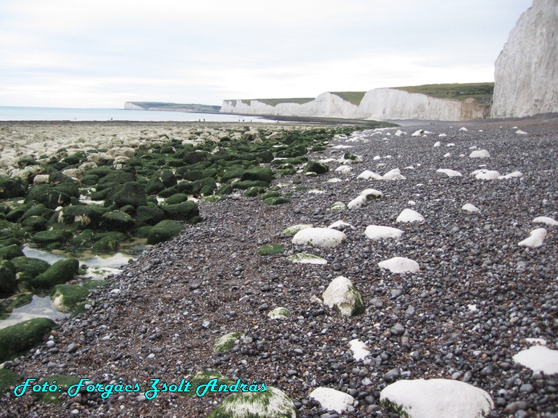 beachy_head_077.JPG