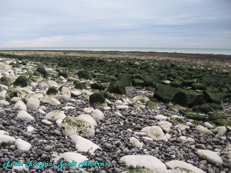 beachy_head_092.JPG