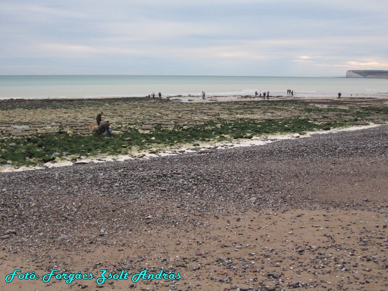 beachy_head_099.JPG