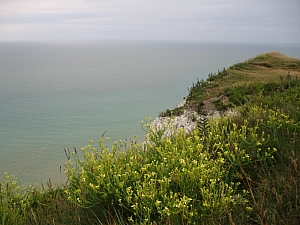 beachy_head_014.JPG