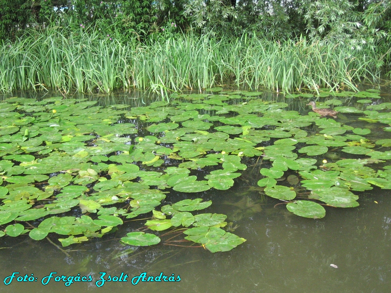 cambridge__2008__314.JPG