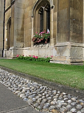 cambridge__2008__203.JPG