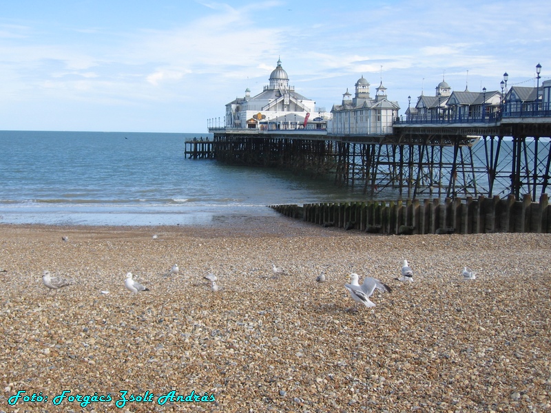 eastbourne_077.JPG