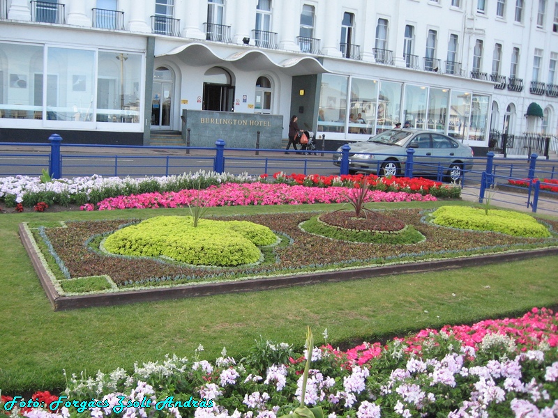 eastbourne_091.JPG