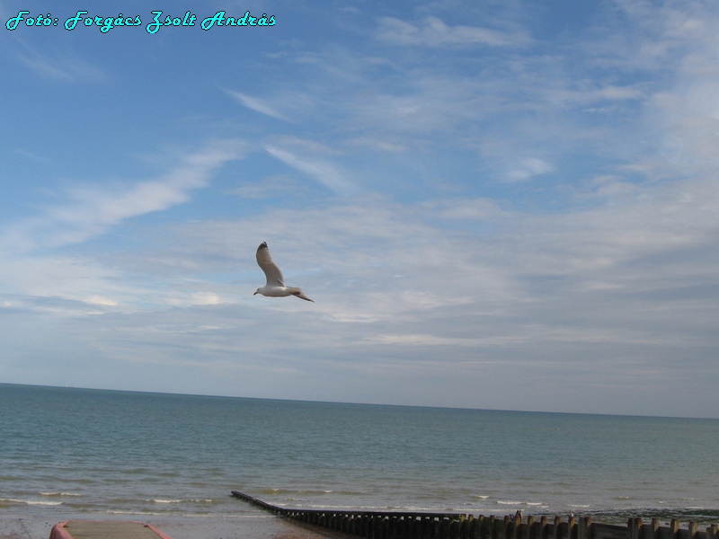 eastbourne_095.JPG