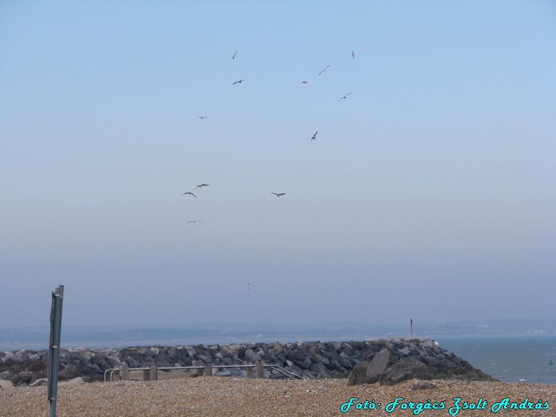 eastbourne_dock_035.jpg