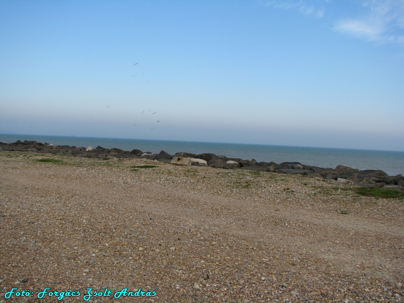 eastbourne_dock_039.jpg