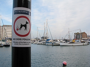 eastbourne_dock_100.jpg