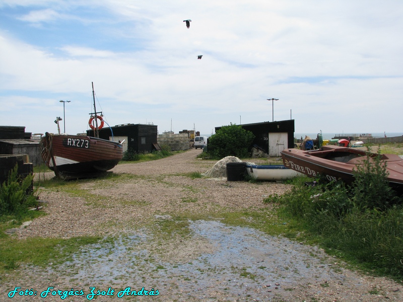 hastings_012.jpg