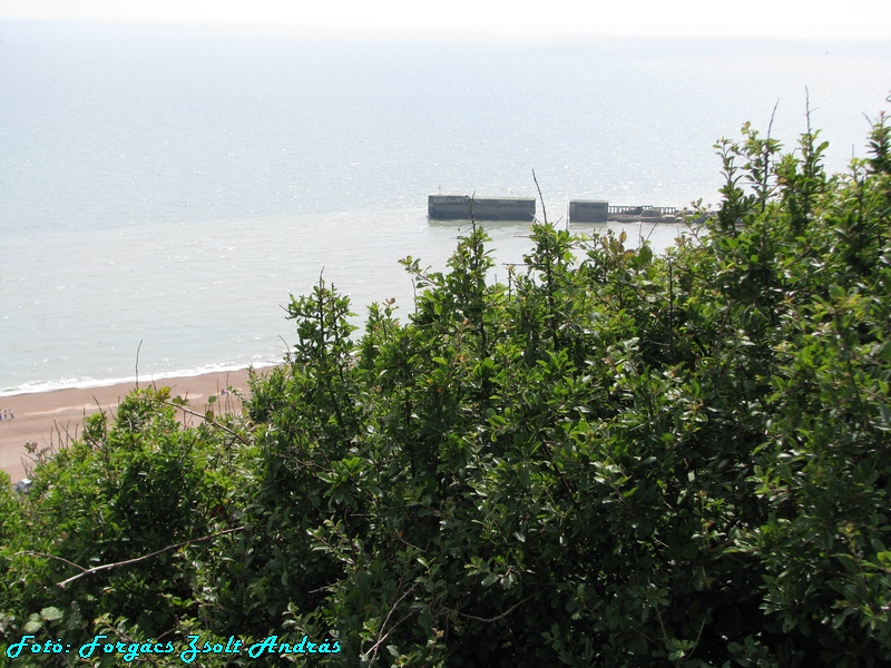 hastings_082.jpg