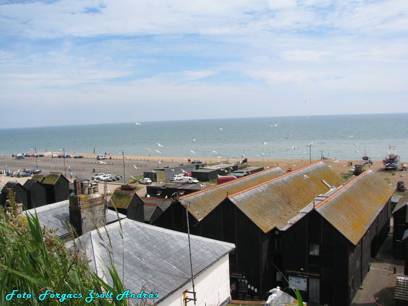 hastings_108.jpg