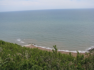 hastings_078.jpg