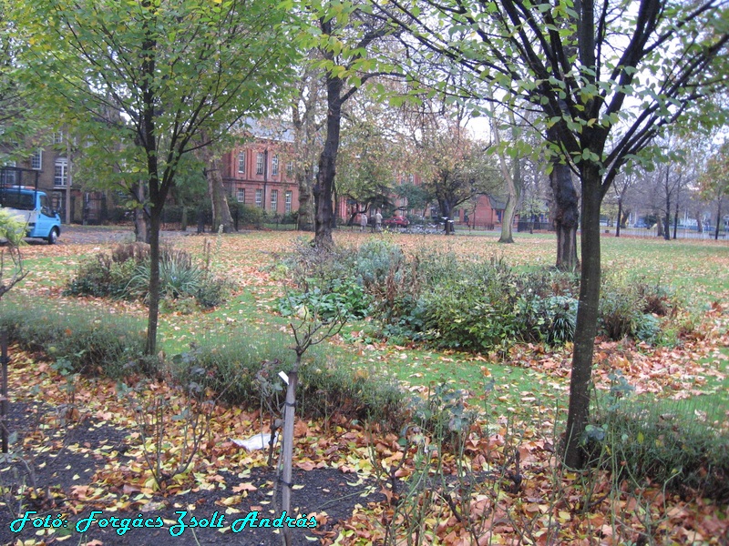 london__096_bethnal_green_konyvtar_003.JPG