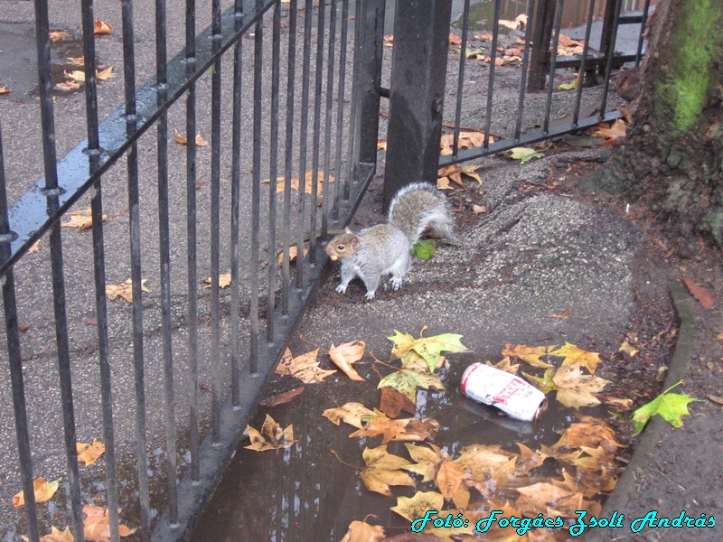 london__096_bethnal_green_konyvtar_005.JPG