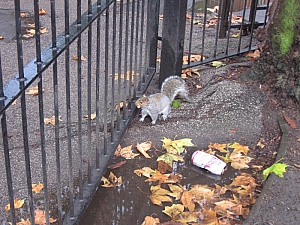 london__096_bethnal_green_konyvtar_005.JPG london__096_bethnal_green_konyvtar_005.JPG