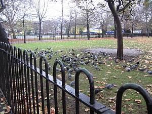 london__096_bethnal_green_konyvtar_007.JPG london__096_bethnal_green_konyvtar_007.JPG