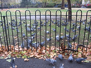 london__096_bethnal_green_konyvtar_008.JPG london__096_bethnal_green_konyvtar_008.JPG