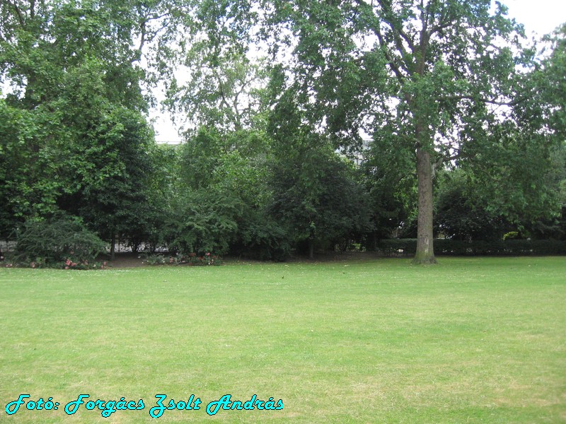 holborn_lincolns_inn_fields_014.JPG