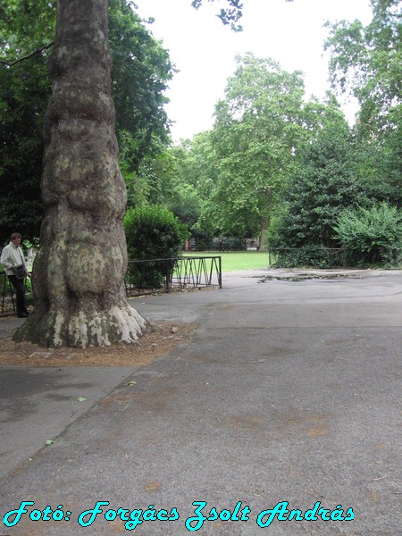 holborn_lincolns_inn_fields_020.JPG