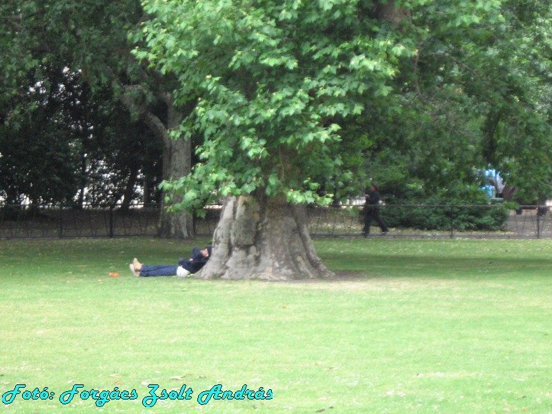 holborn_lincolns_inn_fields_022.JPG