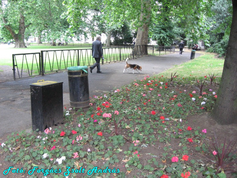 holborn_lincolns_inn_fields_026.JPG