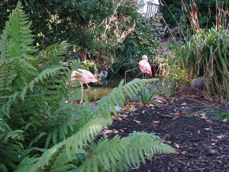 kensington_roof_garden_017.JPG