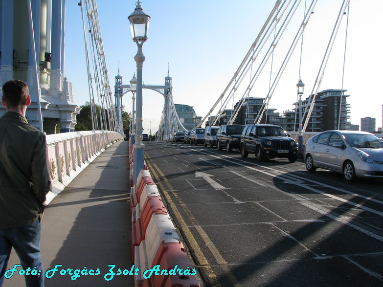 albert_bridge_016.JPG