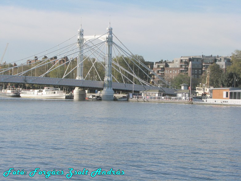 albert_bridge_028.JPG