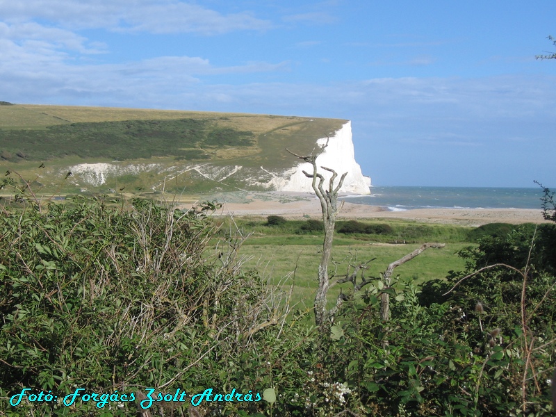 seaford_052.JPG