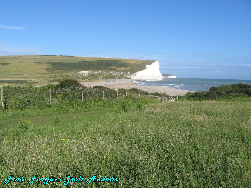 seaford_056.JPG