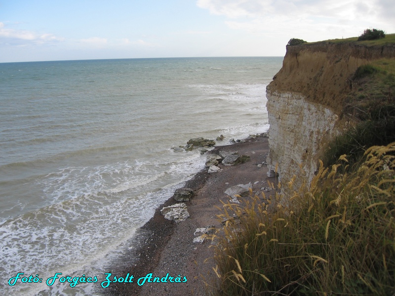 seaford_077.JPG